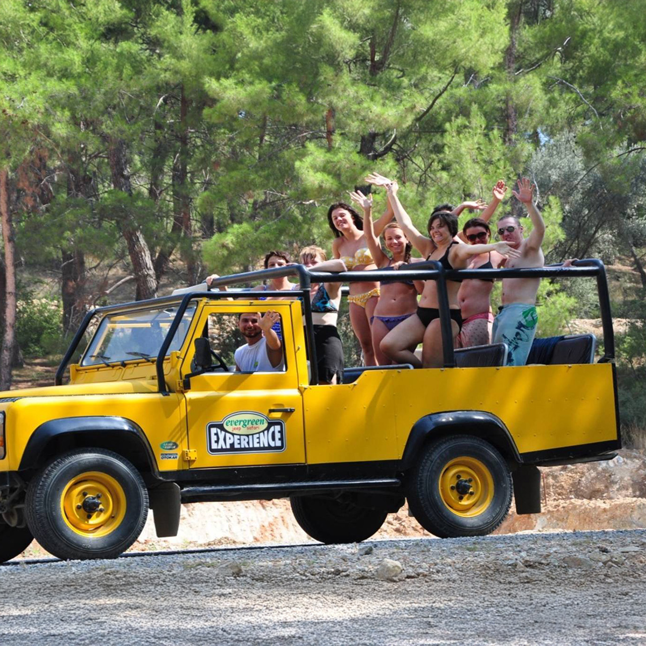 safari