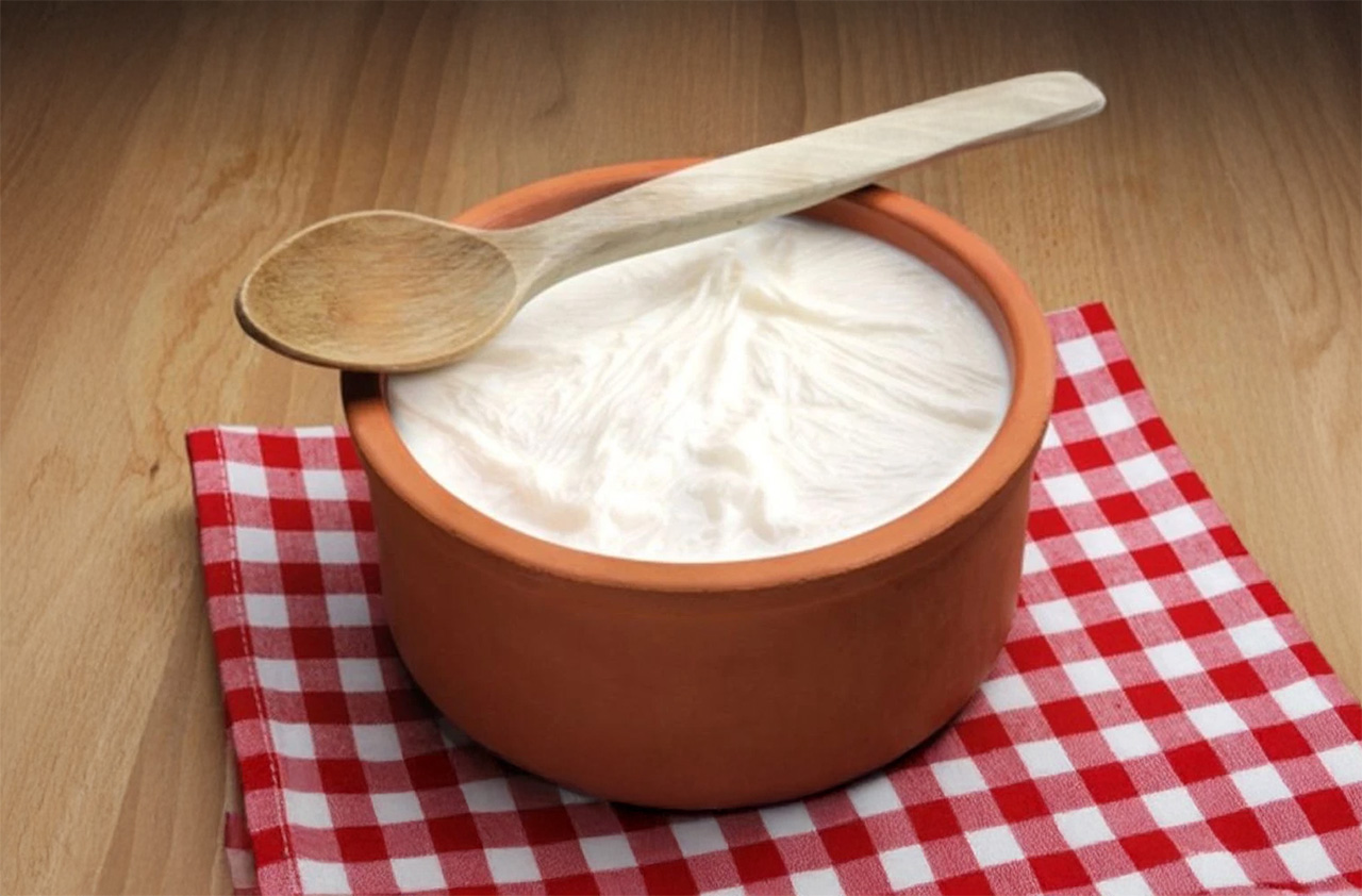 yogurt